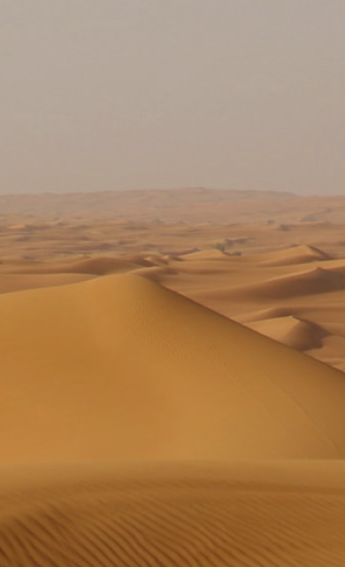 banner image